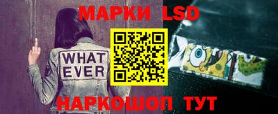 индика Беслан