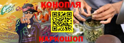 индика Беслан
