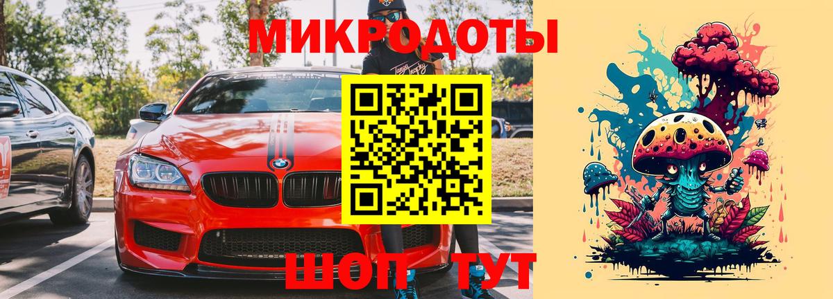 Псилоцибиновые грибы Psilocybe Борзя
